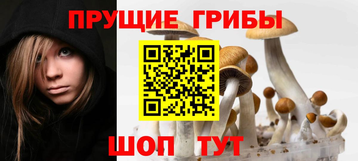 Галлюциногенные грибы мухоморы  Галлюциногенные грибы Psilocybine cubensis  Вход с VPN  Тейково 
